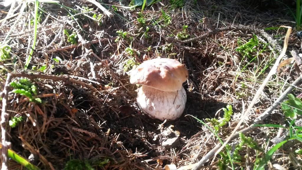 Lo Ni Di Candolle Gignod Dış mekan fotoğraf